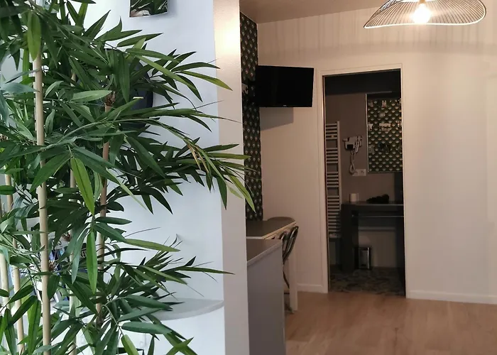 Apartment In Orsay - Grenelle Romantic Flat