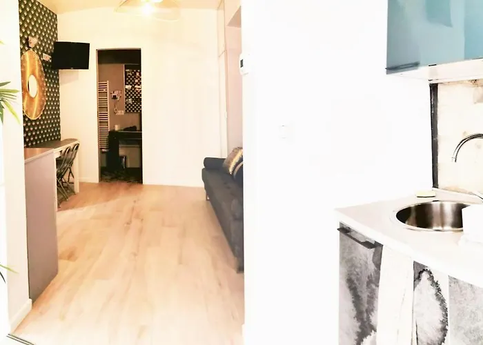 In Orsay - Grenelle Romantic Flat 公寓 *